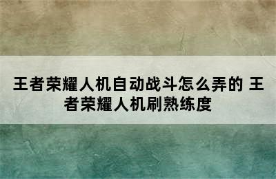 王者荣耀人机自动战斗怎么弄的 王者荣耀人机刷熟练度